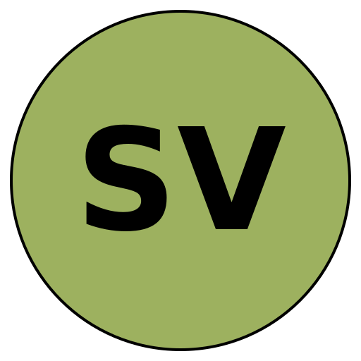 Savvy Voyage