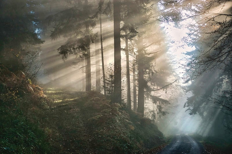 Mystical Quests
